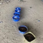 FEED 6